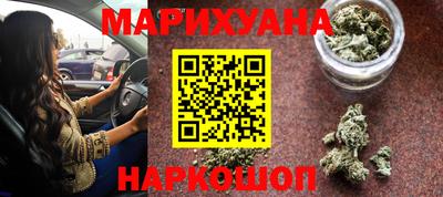 сатива Новокубанск