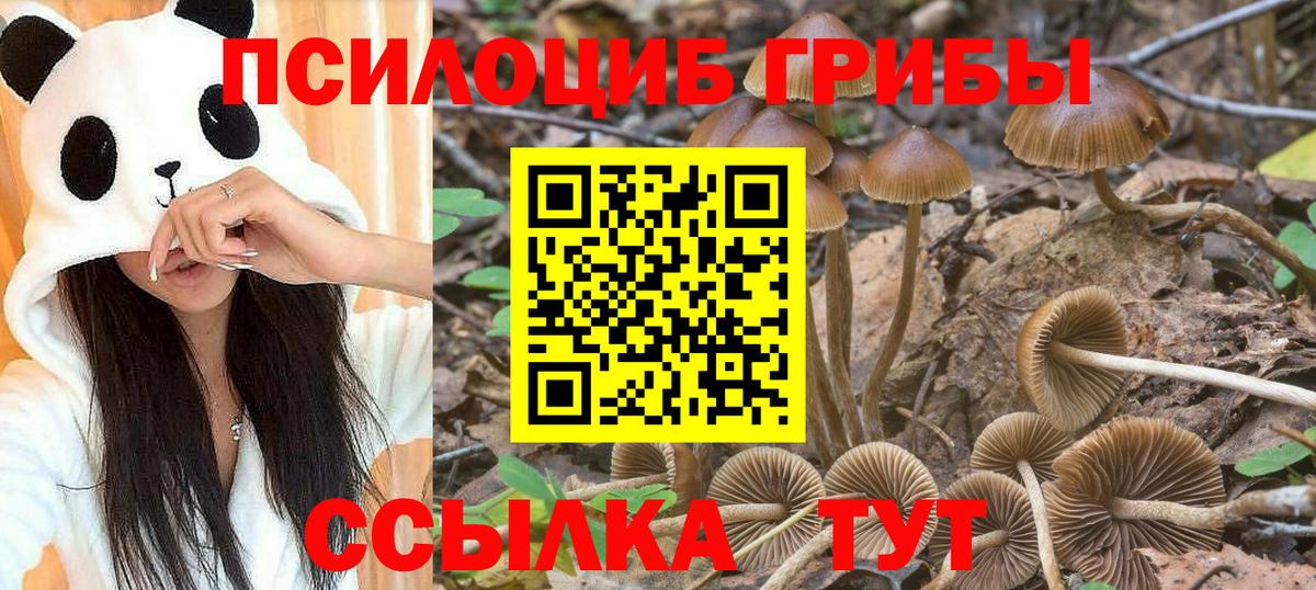 Псилоцибиновые грибы ЛСД  Вход с VPN  Урай 