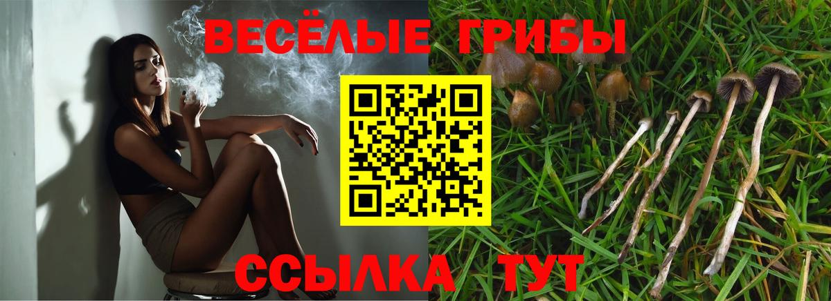Псилоцибиновые грибы GOLDEN TEACHER Урай